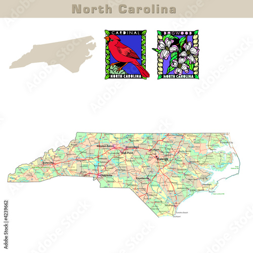 USA states series: North Carolina. Political map with counties
