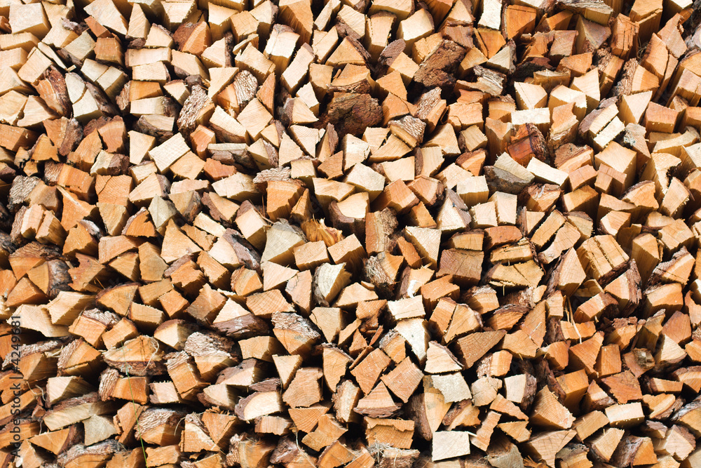 the woodpile of larch firewood