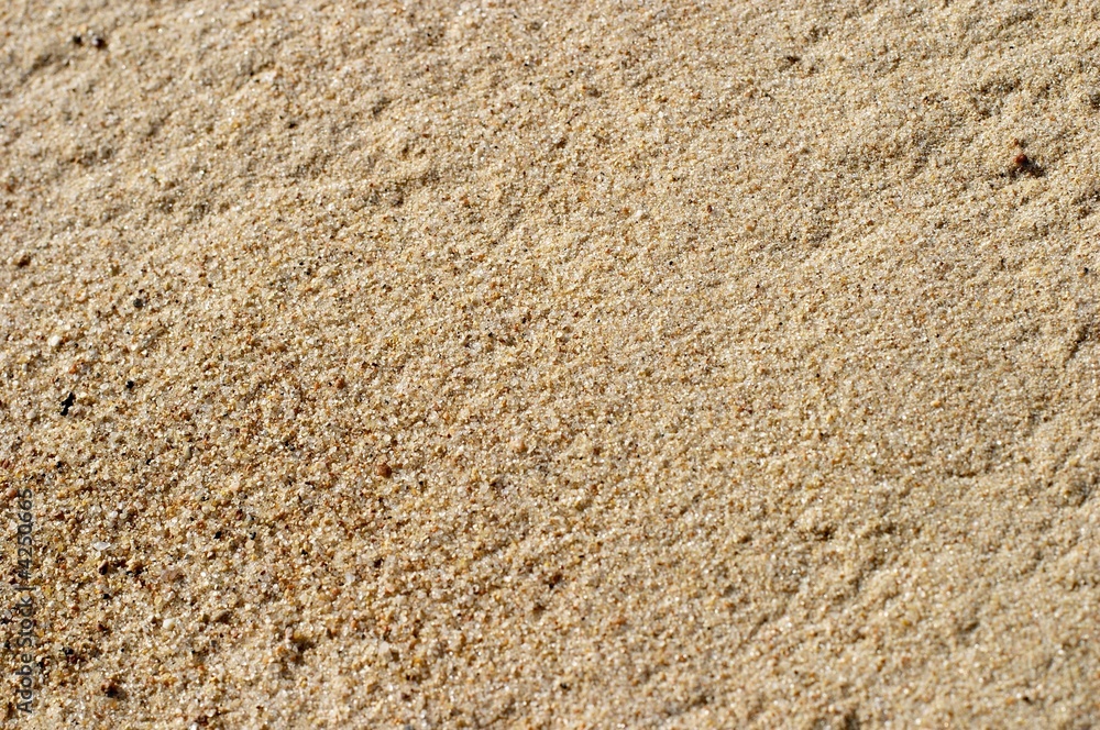 sand background sand background