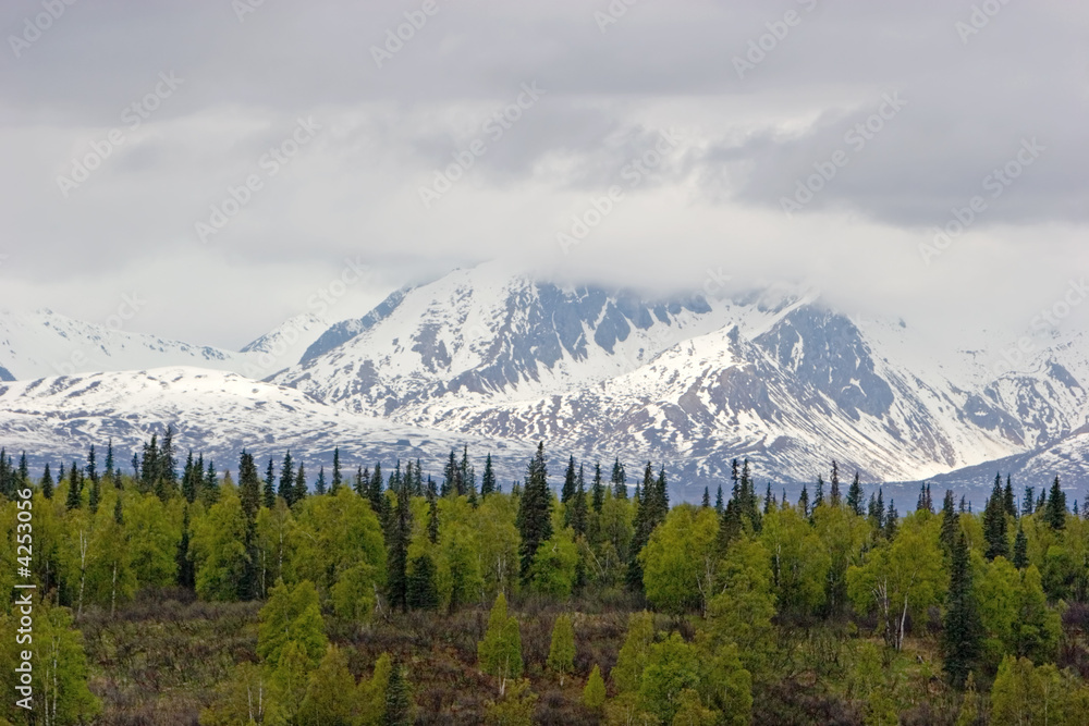 Snow melting on Alaska Range