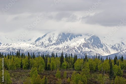 Snow melting on Alaska Range