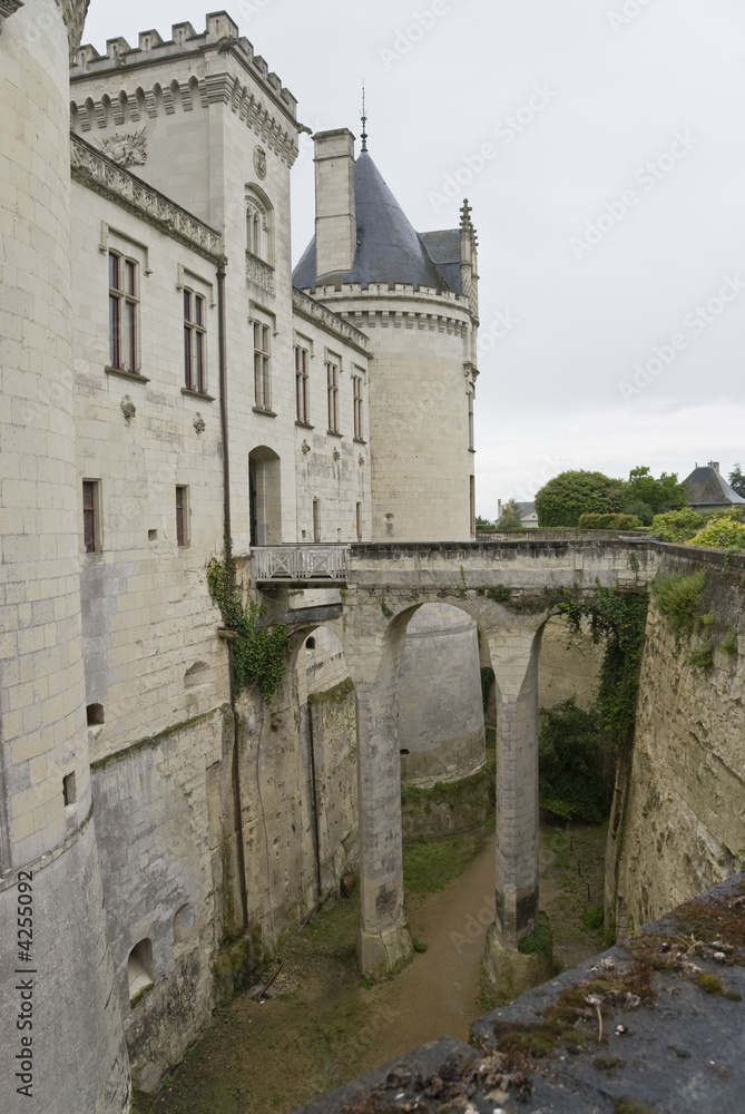 Chateau Brézé moat