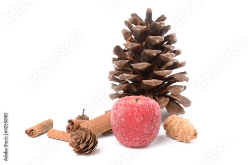 Pine Cone and sugared Fruit