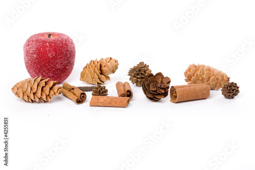 Pine Cone and sugared Fruit