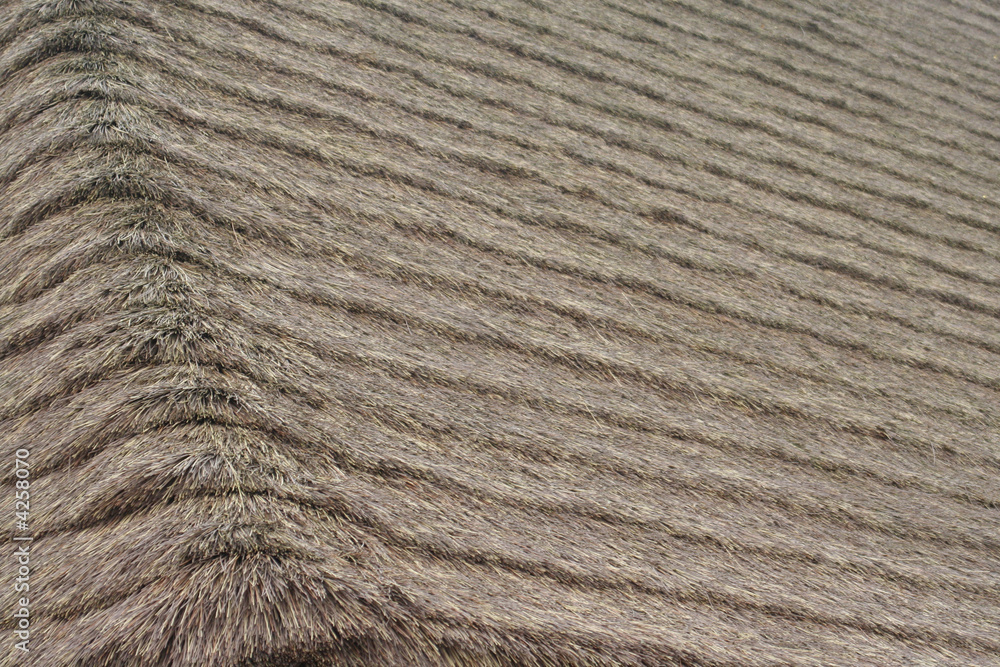 Obraz premium toit de chaume