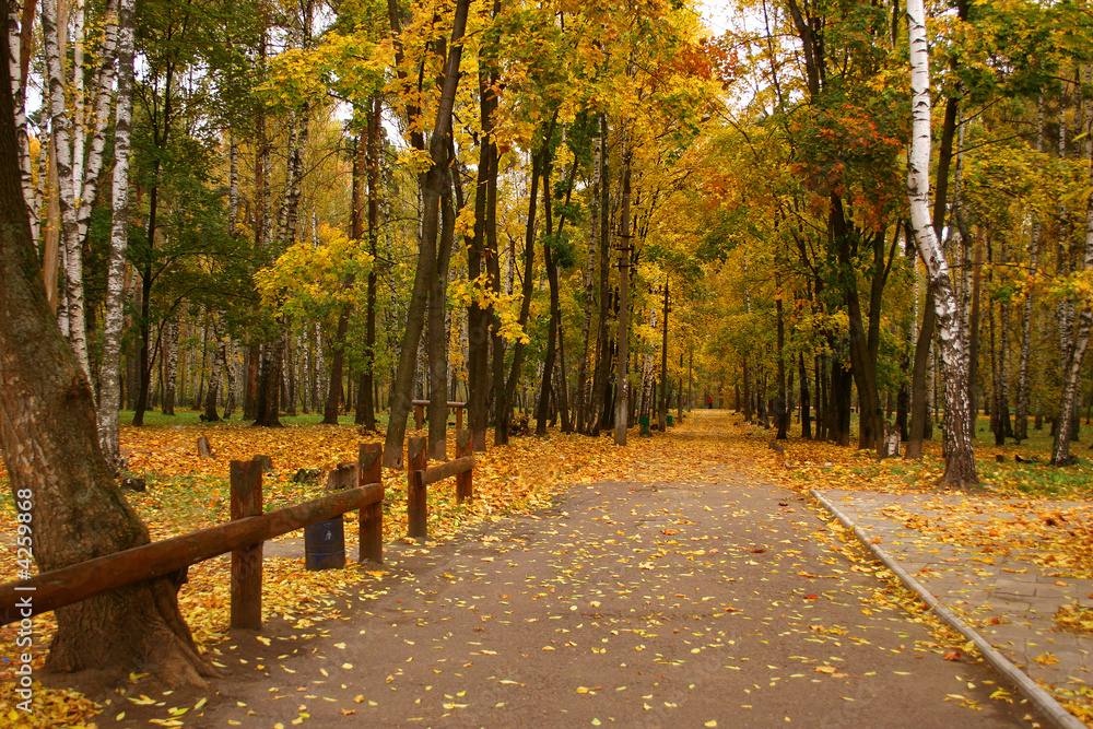 Naklejka premium Autumn in our park. 