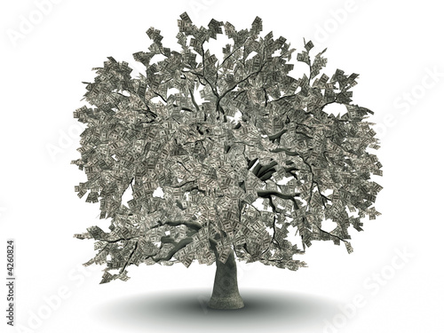 100$ tree