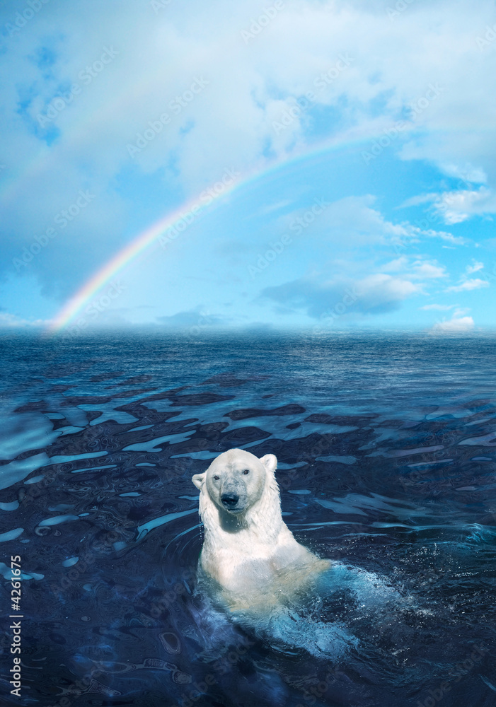 custom made wallpaper toronto digitalpolar bear