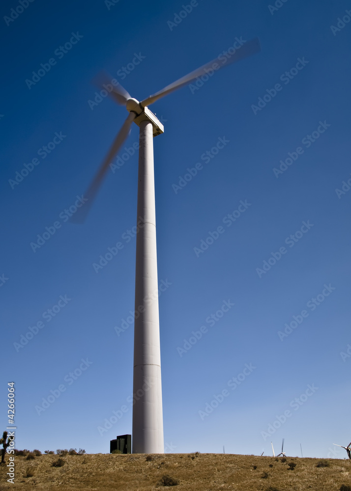 Wind farm near Tehachapi, California