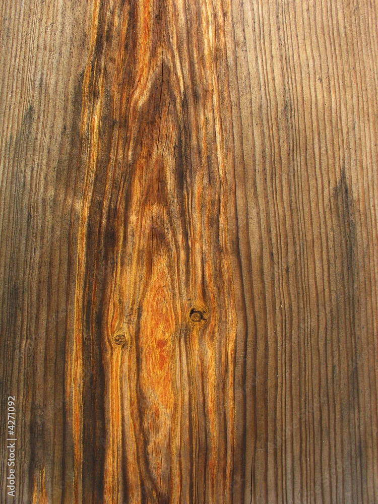 Obraz premium Beautiful wood texture close-up