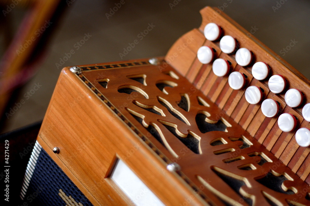 Fototapeta premium accordéon