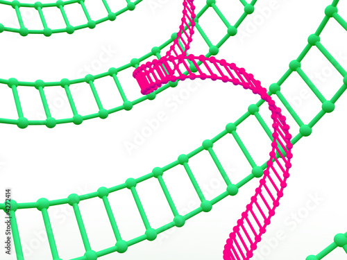 Fototapeta Naklejka Na Ścianę i Meble -  gene in DNA.