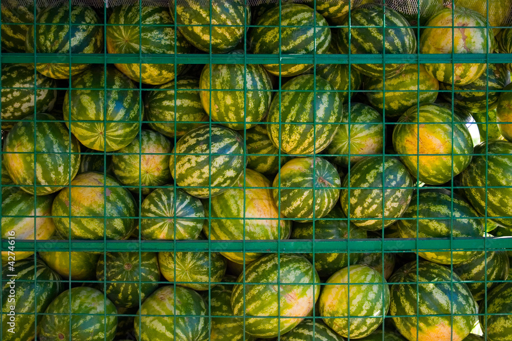 Watermelons Watermelons