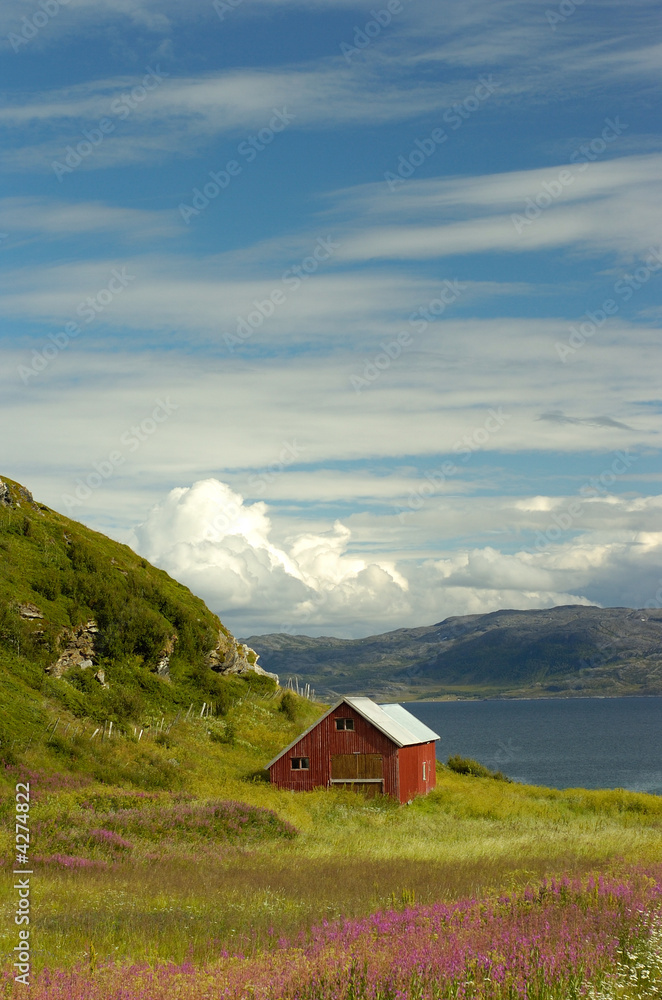 scandinavia landscape