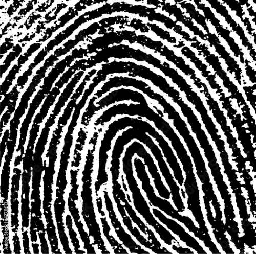 Fingerprint Crop