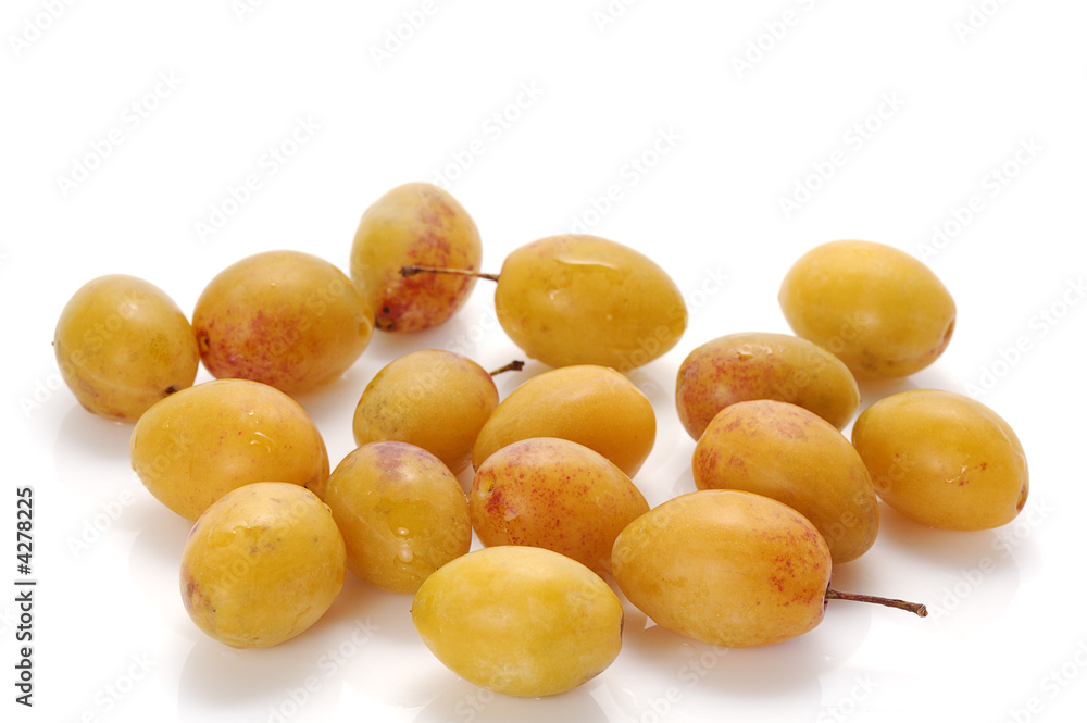 yellow plum yellow plum