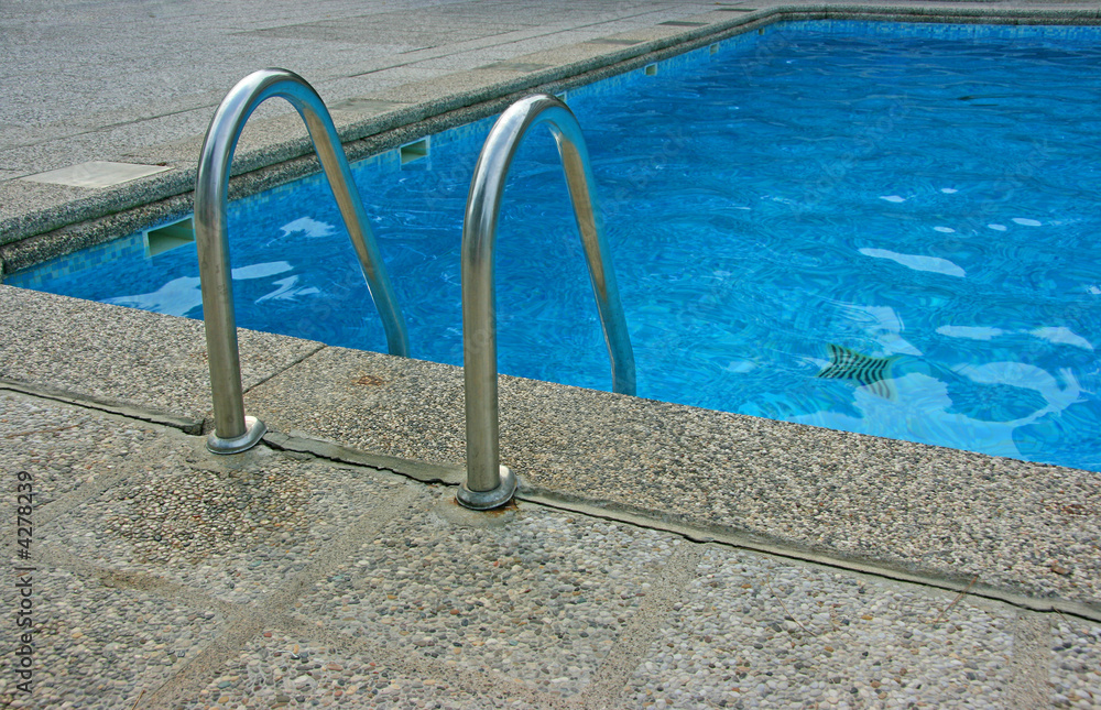 Pool ladder