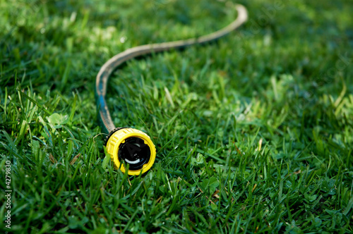 hose on lawn
