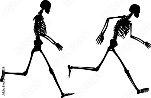 Skeletons running