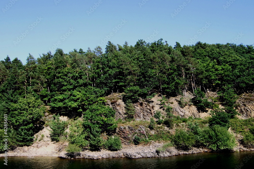 Sattgrüne Bäume im Naturpark Eifel