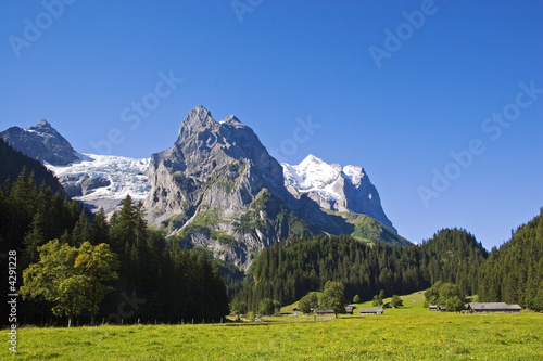 Rosenlauital mit Wetterhorn photo