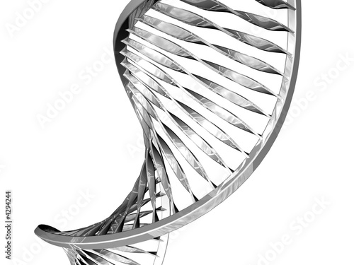 DNA ADN Strands