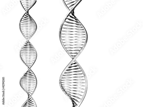 dna adn strands