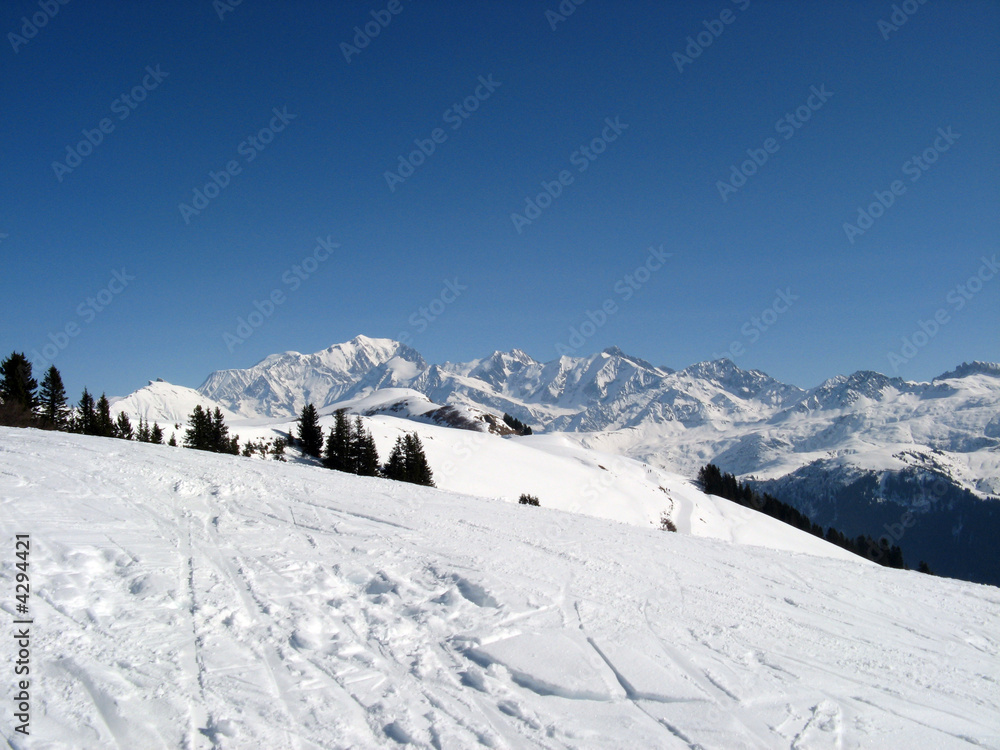 Le Massif du Mont Blanc