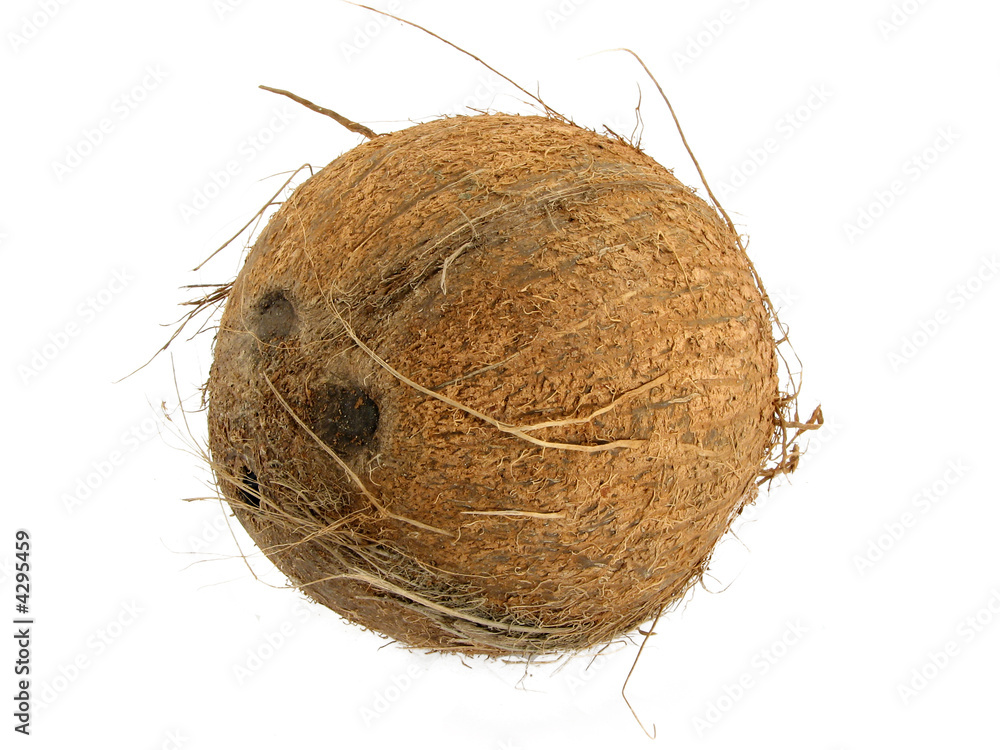 coconut coconut