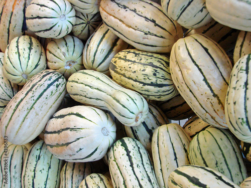 Basket of Squash