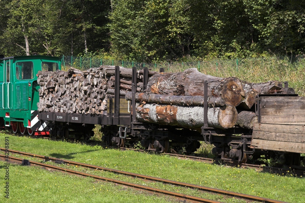 Old train at bieszczady poland