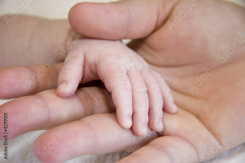 Father holding newborn babys tiny hand