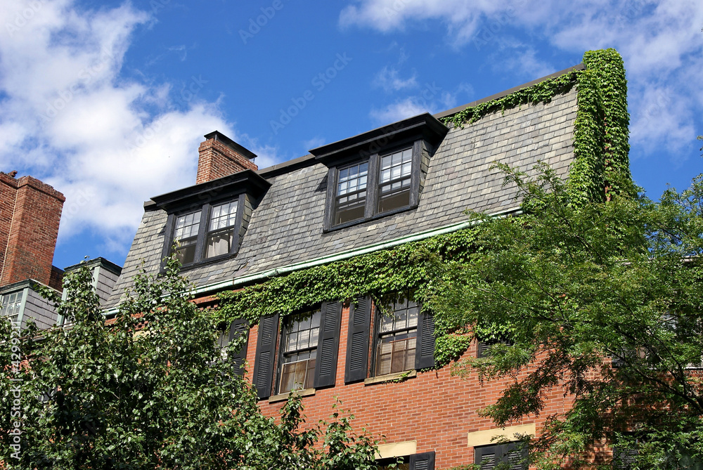 ivy covered home
