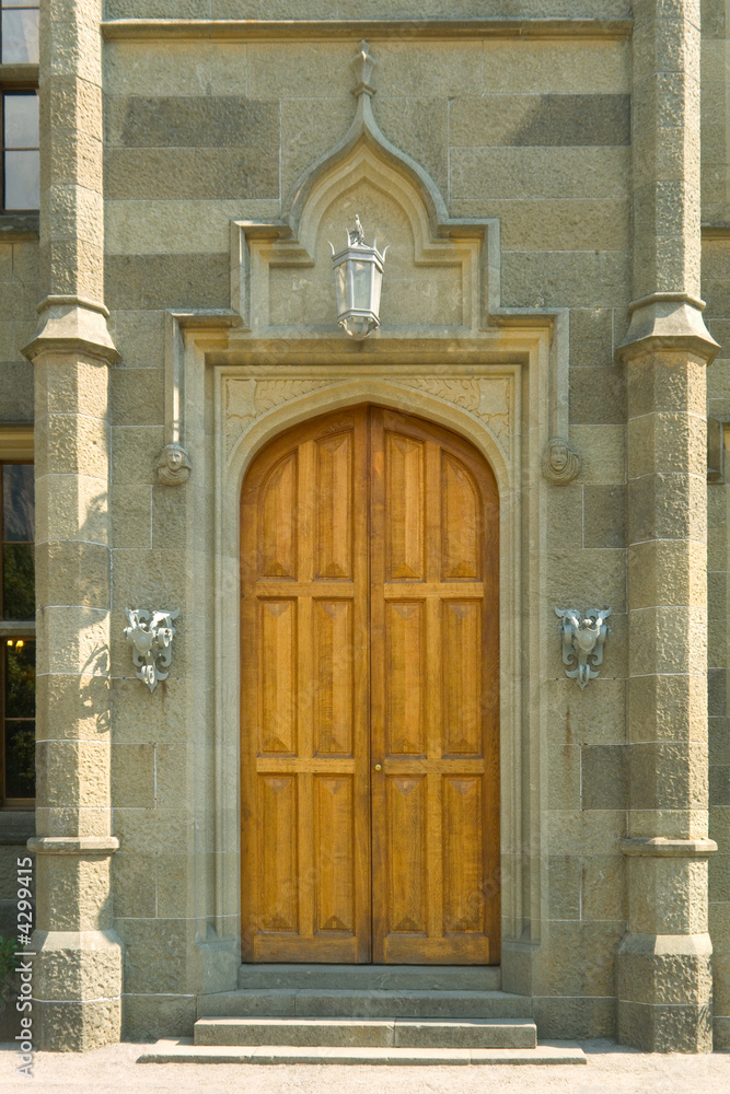 Wooden door in old castle