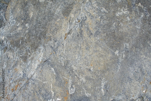 natural texture background of stone Greywacke