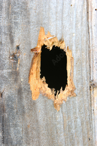 hole in a wood plank