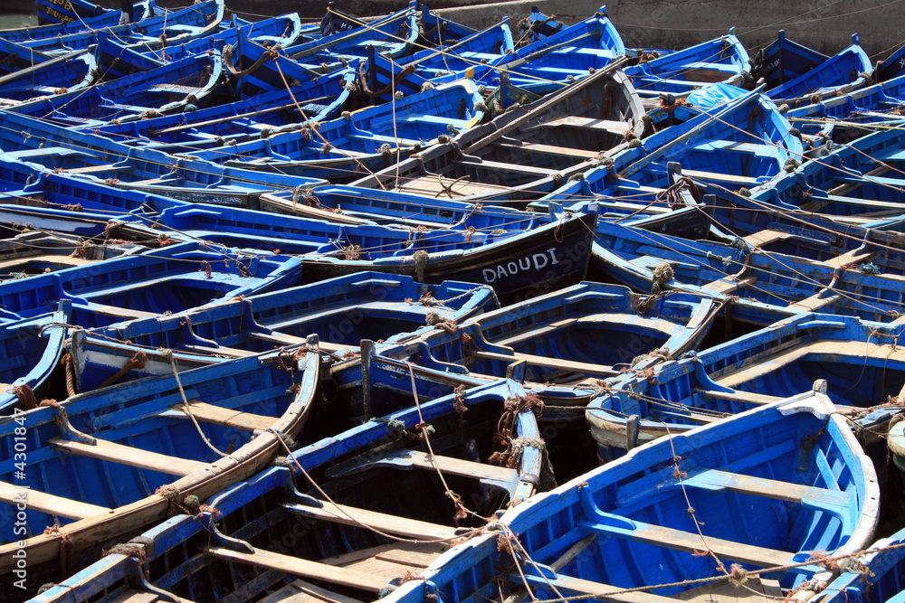 barques bleues d'Essaouira