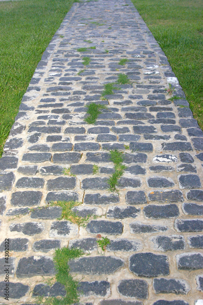old stone pavement path