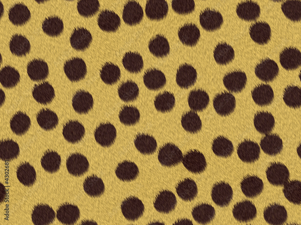 Textura Fondo Animal Textura Fondo Animal