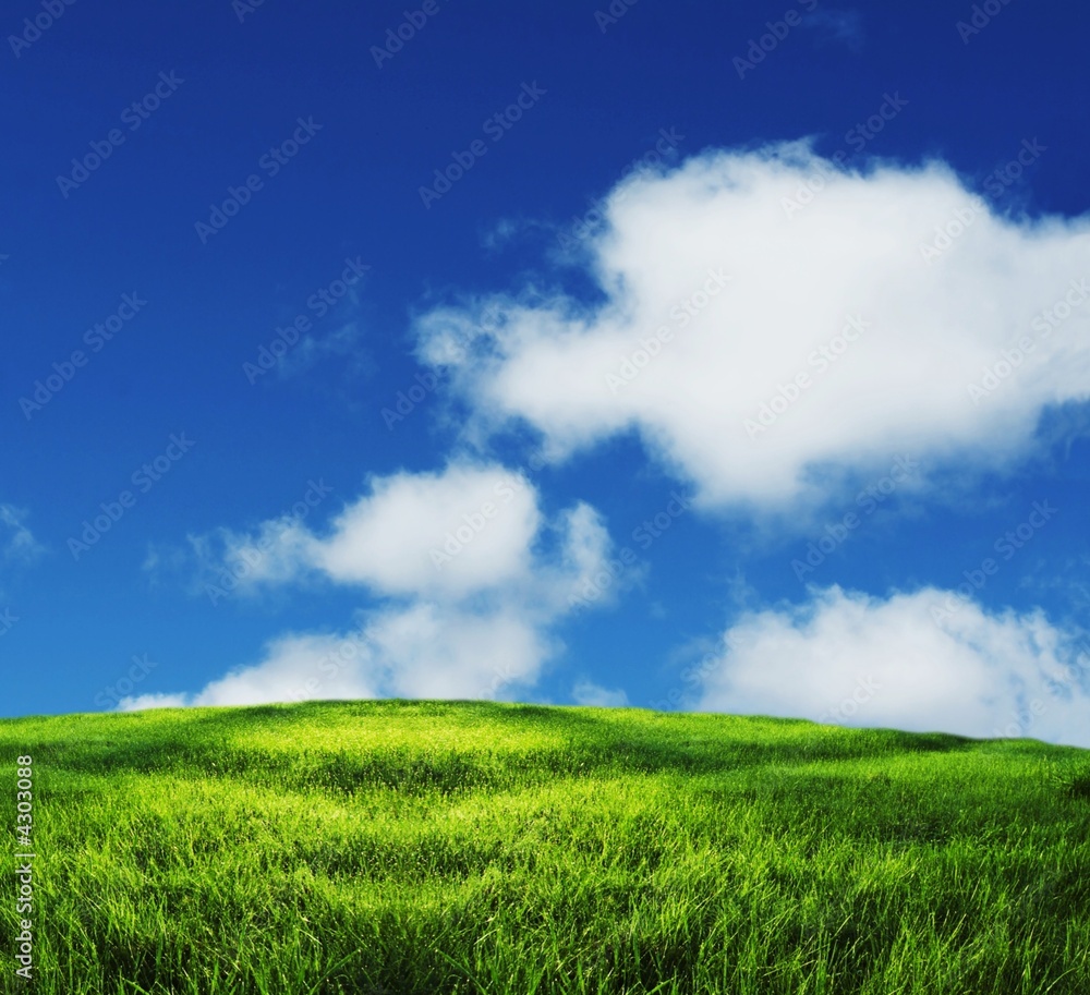 Fototapeta premium Field and clouds