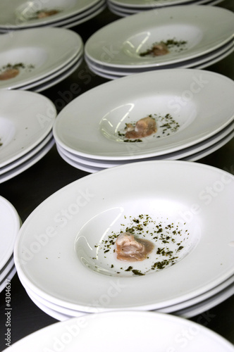 Wallpaper Mural Ostras emplatadas Torontodigital.ca