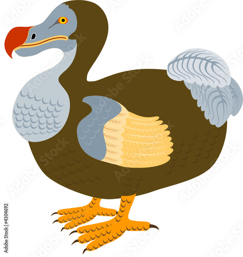 Dodo bird