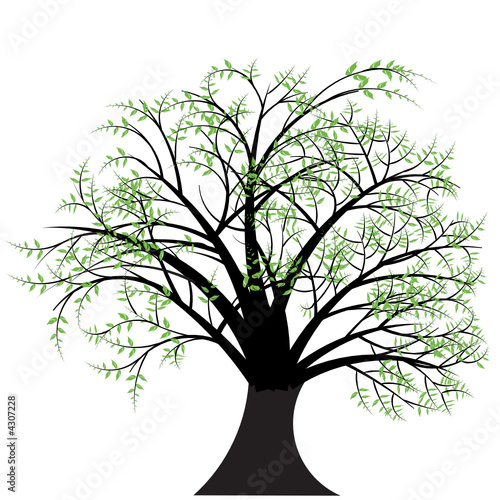 beautiful abstract vector tree design