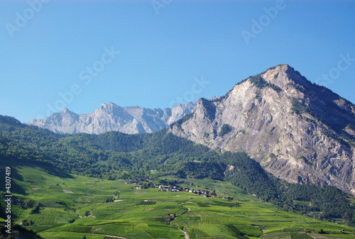 summer mountain rural landscape