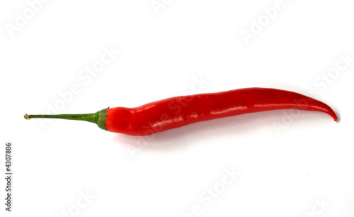 chilli pepper