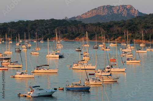 Baie de la courtade - Porquerolles