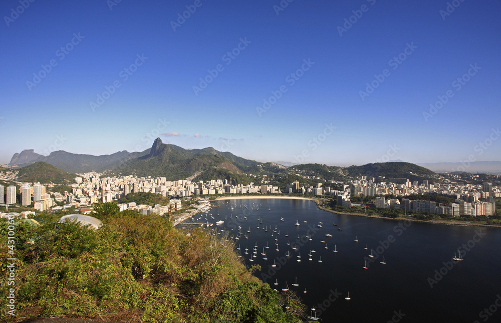 Obraz premium botafogo