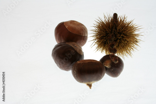 IMG_5926marrons.JPG photo