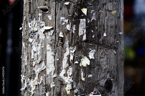 Hydro pole