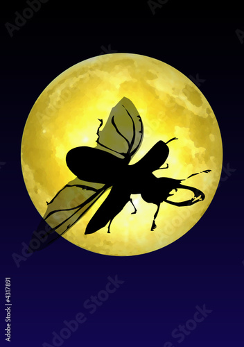 Insecte volant